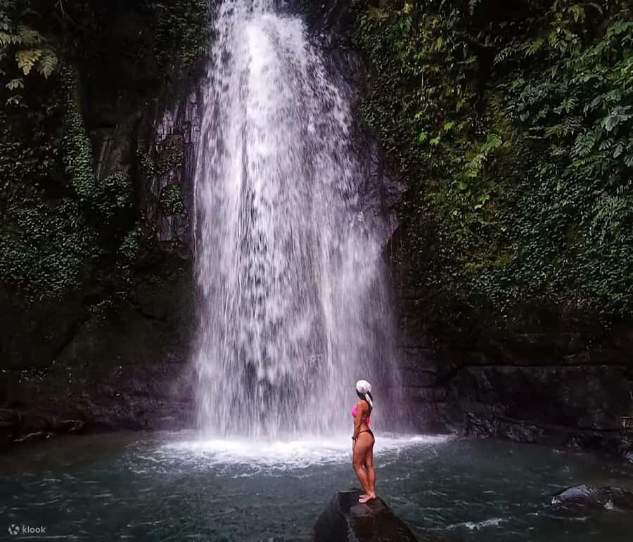 BALI :Sanctuary Monkey forest, rice terrace Water temple - What the $19 price really covers