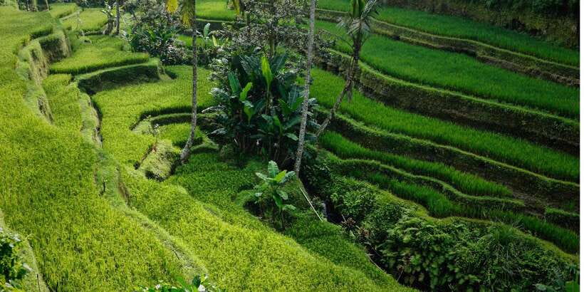 Bali: Secret Garden, Ulun Danu Temple and Waterfall Tour - Lunch at a local restaurant