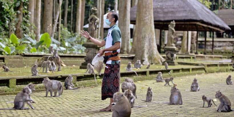 Bali Secret Waterfalls with Ulun Danu Beratan Temple Tour - Four details that shape the day