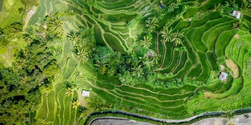 Bali Secret Waterfalls with Ulun Danu Beratan Temple Tour - Ulun Danu Beratan and the lake temple view