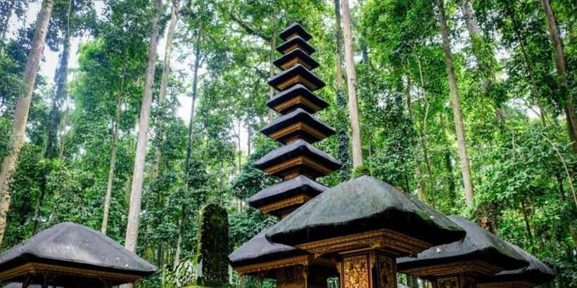 Bali Secret Waterfalls with Ulun Danu Beratan Temple Tour - Your guide can make or break the long drive
