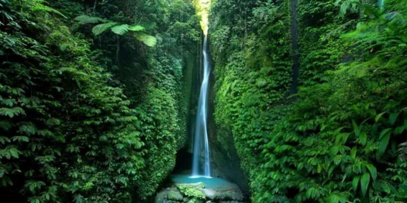 Bali Secret Waterfalls with Ulun Danu Beratan Temple Tour - Sangeh Monkey Forest and its quieter feel