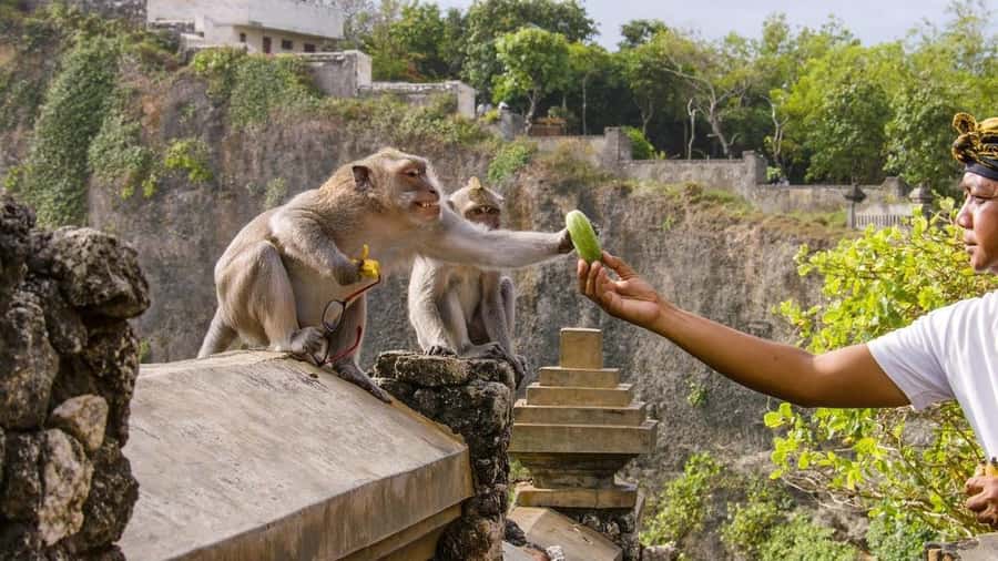 Bali: Sunset Uluwatu Temple & Kecak Fire Dance Private Tour - Jimbaran Beach and the dinner stop