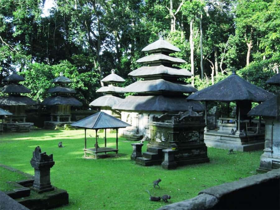 Bali : Tanah Lot Temple Tour with Sunset Dinner - Alas Kedaton and its tame monkeys