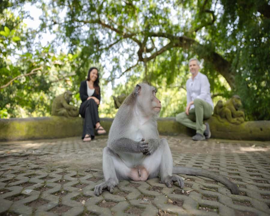 Bali: Temples, waterfall, and Rice Terrace Guided Tour - How the guiding can shape the day
