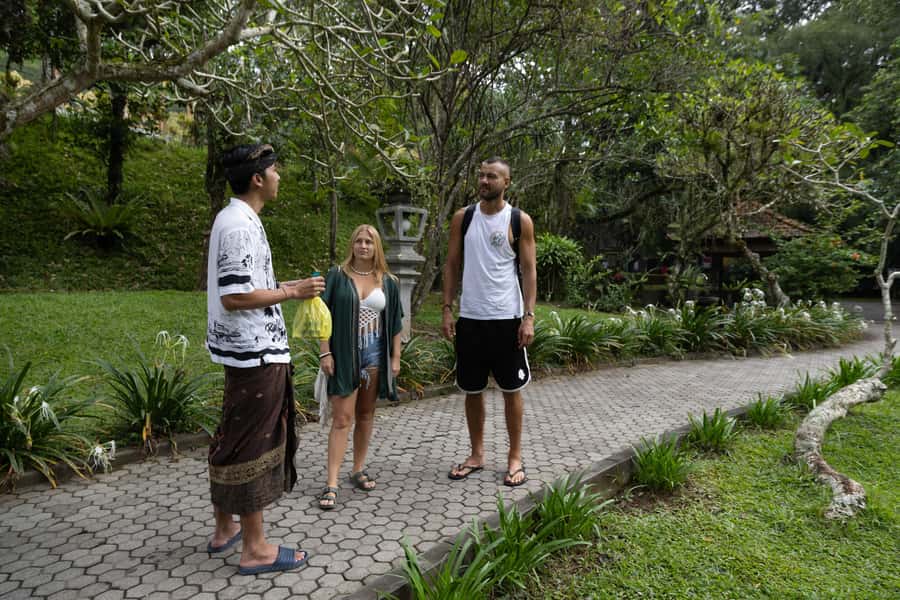 Bali: Temples, waterfall, and Rice Terrace Guided Tour - Tegallalang Rice Terrace: Bali’s famous farm scenery