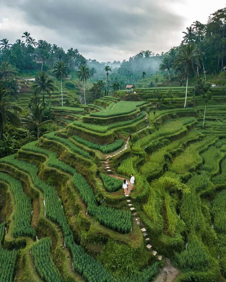 Bali: Temples, waterfall, and Rice Terrace Guided Tour - Bali Swing: an optional thrill and photo stop