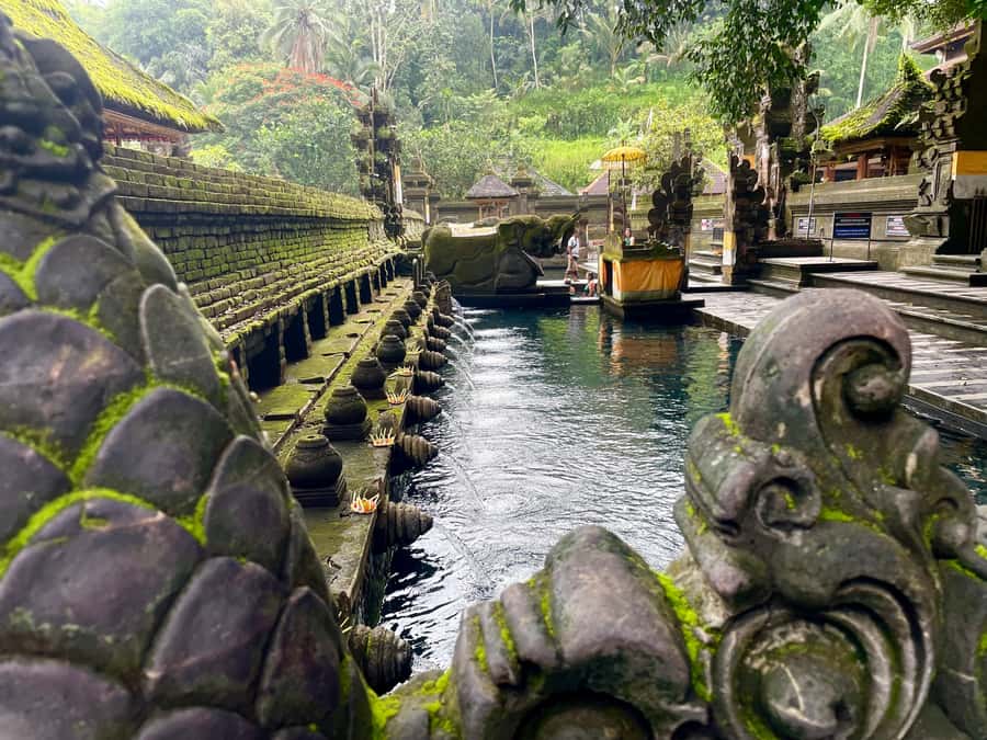 Bali: Tirta empul Temple, Rice terrace and Waterfall - What this private Ubud day is really like