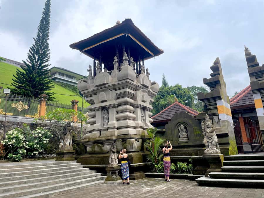 Bali: Tirta empul Temple, Rice terrace and Waterfall - The coffee plantation adds a practical local stop