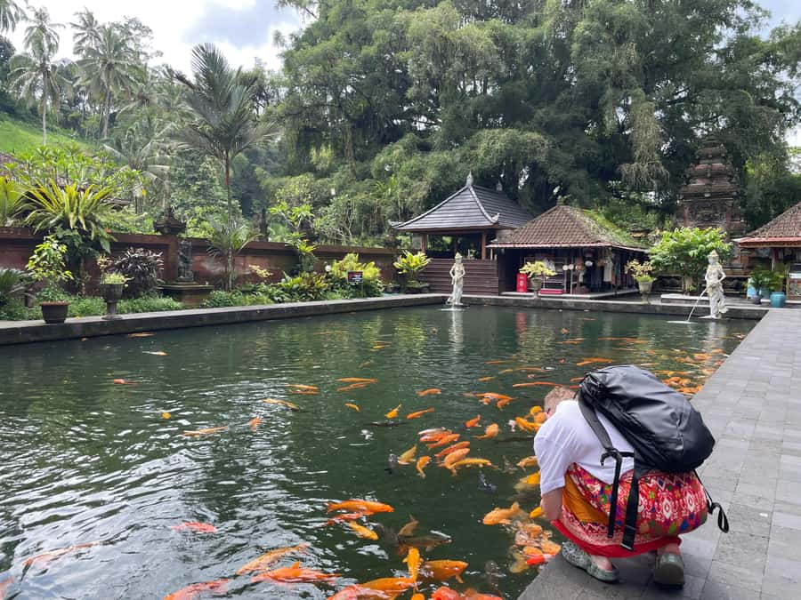 Bali: Tirta empul Temple, Rice terrace and Waterfall - Is $29 a good value?