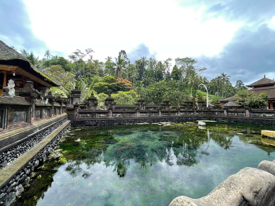 Bali: Tirta empul Temple, Rice terrace and Waterfall - Who will enjoy this day most?