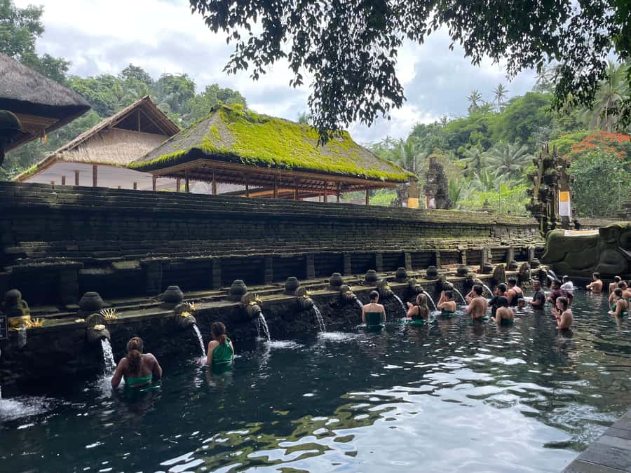 Bali: Tirta empul Temple, Rice terrace and Waterfall - Tegalalang Rice Terraces: Bali’s famous green slopes