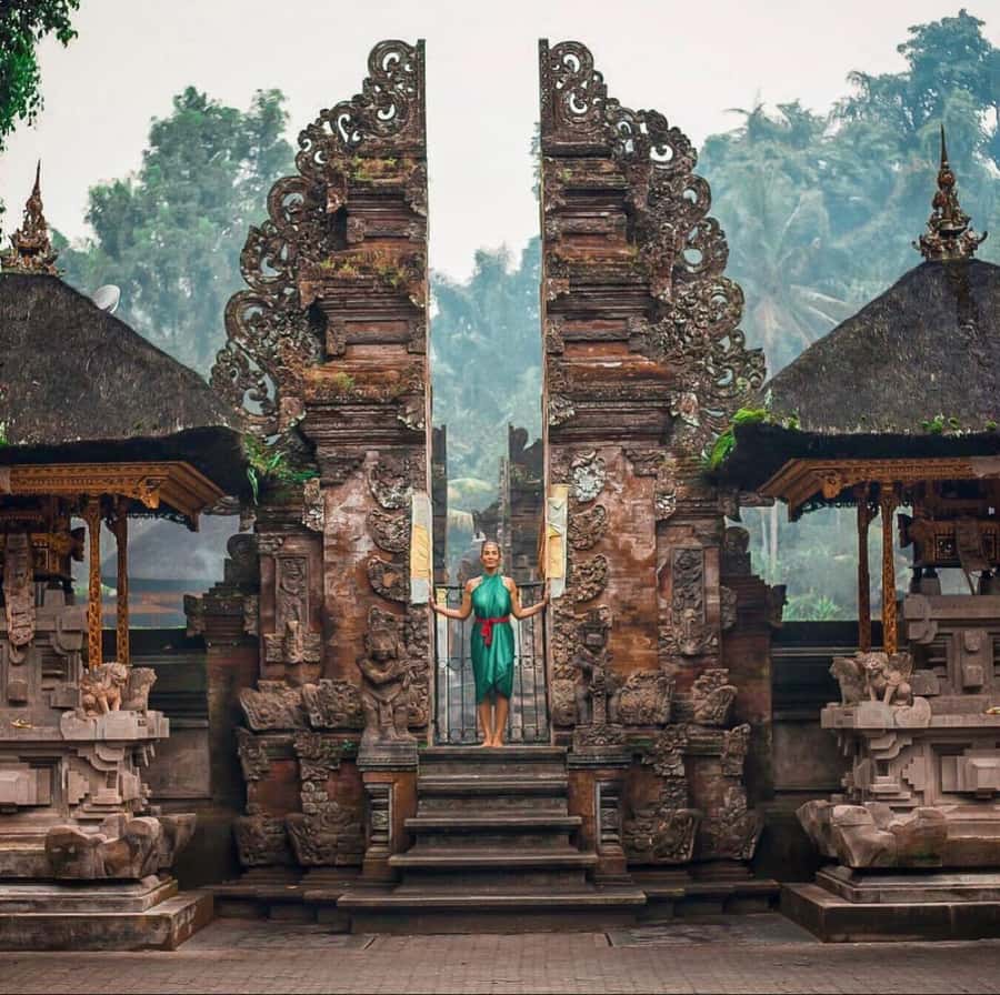 Bali Top's 3 Waterfalls - Temple And Rice Terrace - Segara Windhu Coffee Plantation: coffee with a side of education