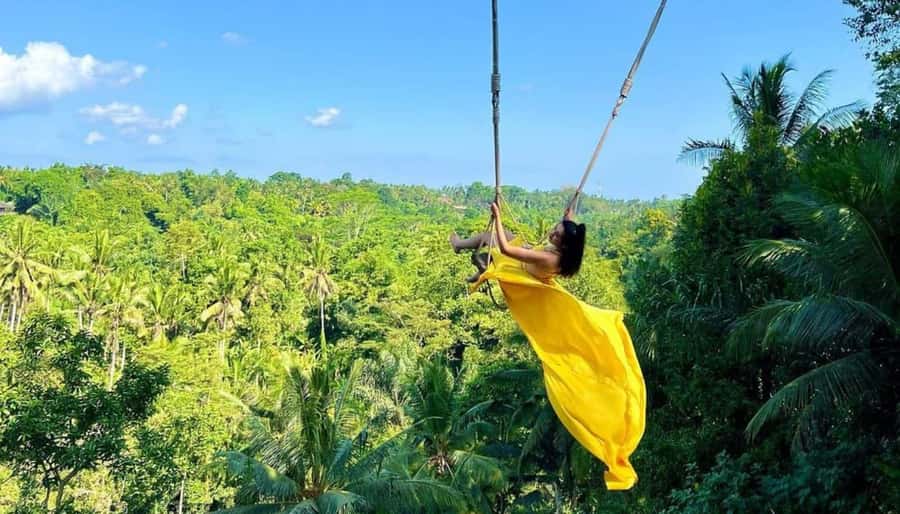 Bali: Ubud, Monkey Forest, Ancient Temple, Waterfalls - Key points to know before booking