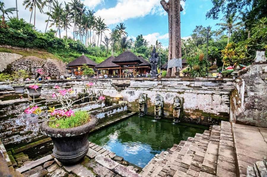 Bali: Ubud, Monkey Forest, Ancient Temple, Waterfalls - A full day built around private transport