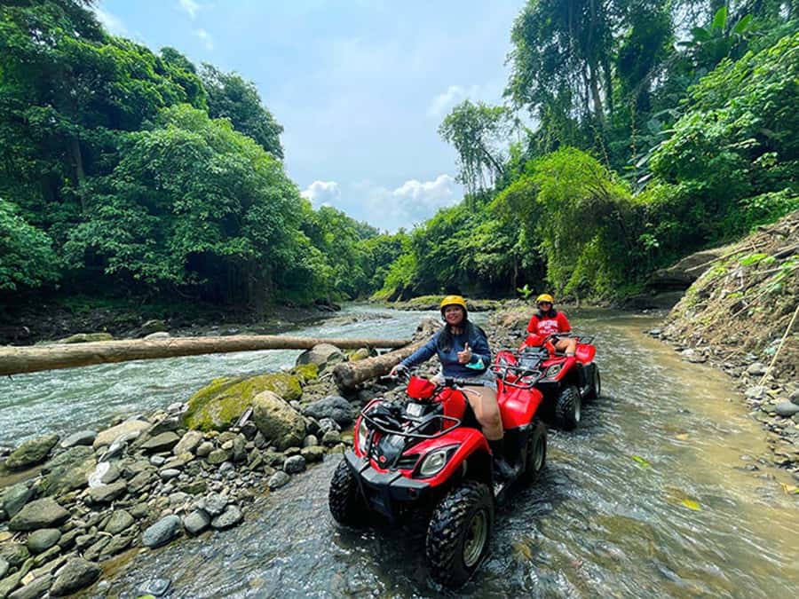 Bali: Ubud, Monkey Forest, Ancient Temple, Waterfalls - Swing Heaven and the extra-cost question