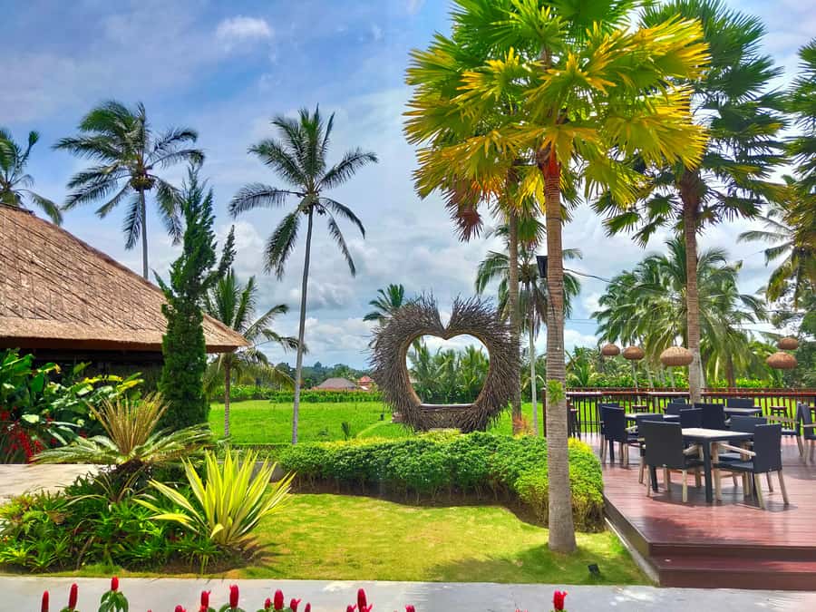 Bali: Ubud, Monkey Forest, Ancient Temple, Waterfalls - What the 10-hour schedule feels like
