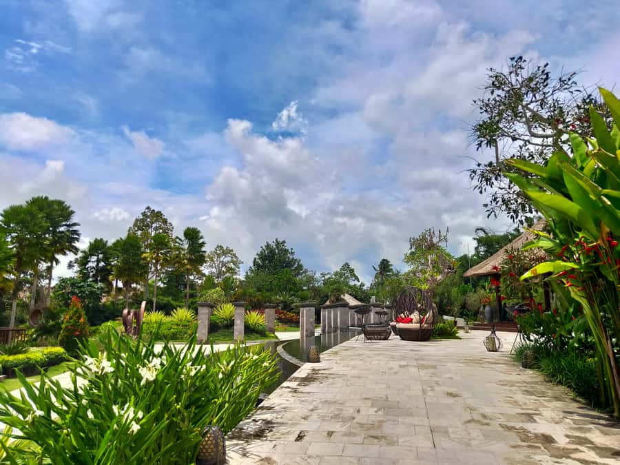 Bali: Ubud, Monkey Forest, Ancient Temple, Waterfalls - Sangeh Monkey Forest and its temple setting