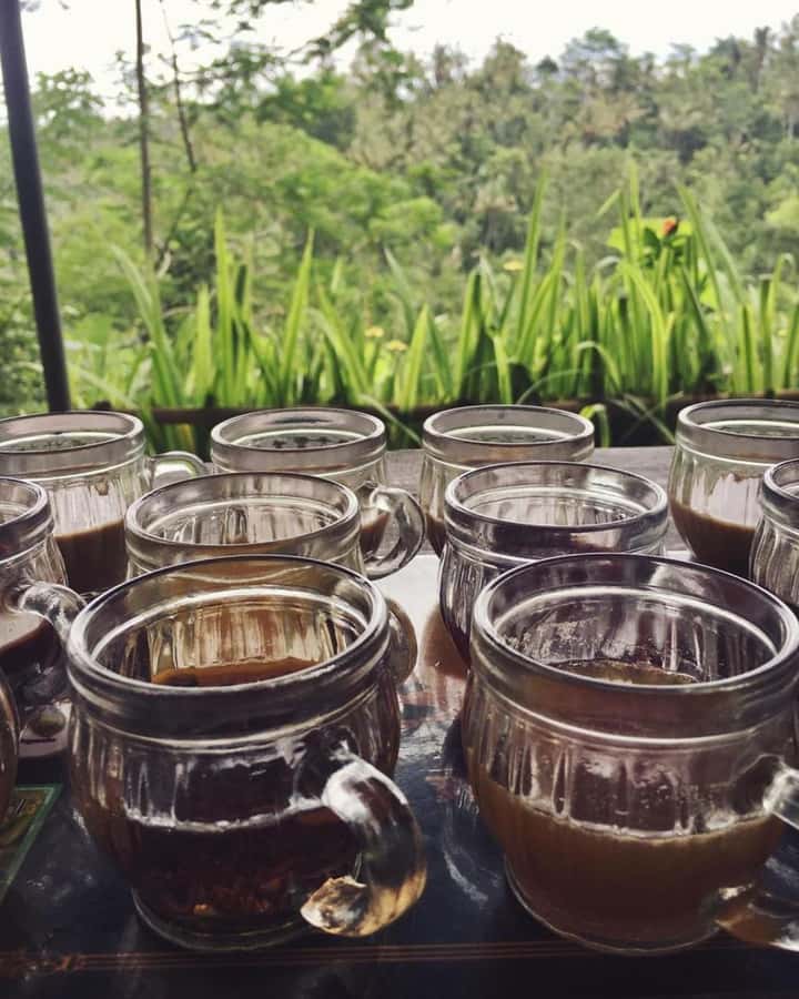 Bali ubud : monkey forest, waterfall , temple - Coffee plantation and the unusual story of luwak coffee