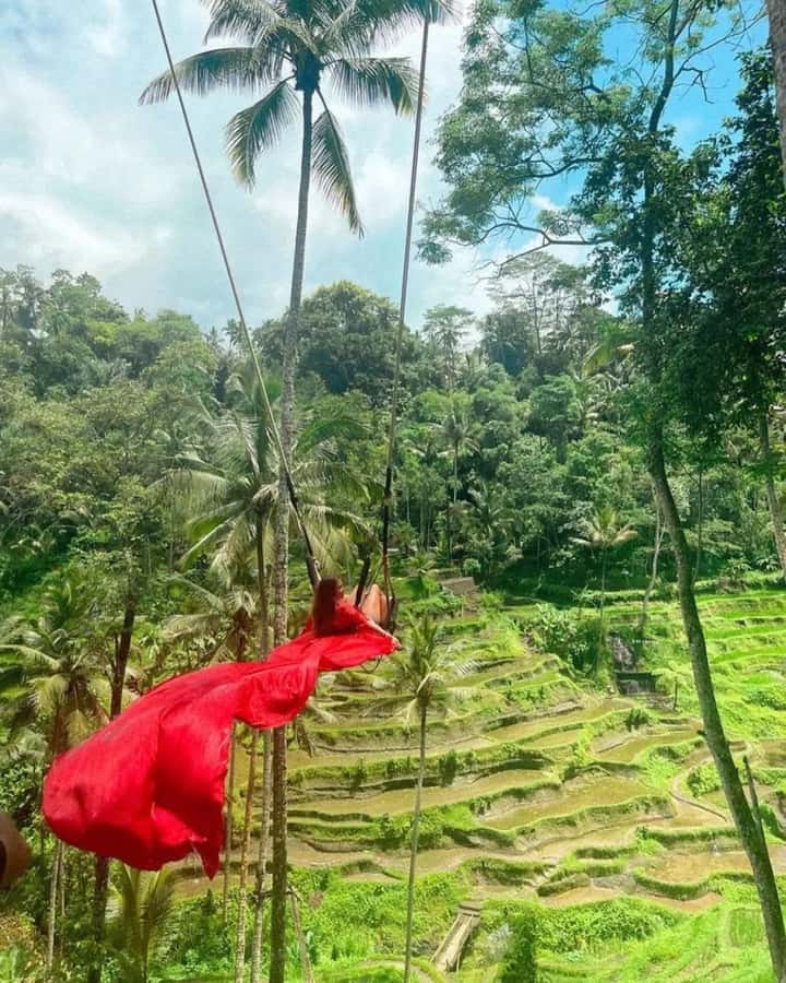 Bali ubud : monkey forest, waterfall , temple - Why the driver can make or break the day