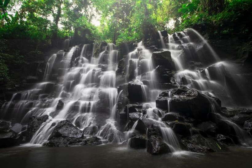 Bali: Ubud Tour with Tirta Empul Temple and Rice Terrace - Price, inclusions, and the fine print