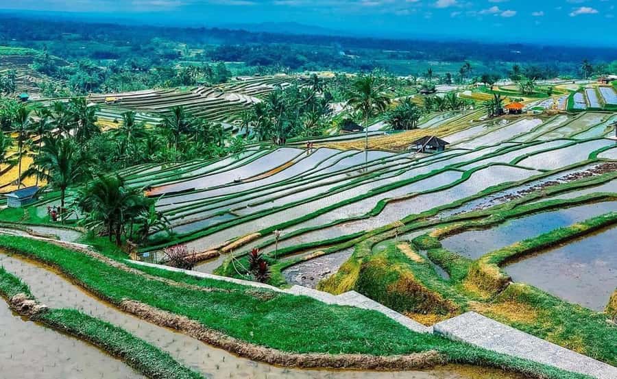 Bali : Ulun Danu Beratan Temple and UNESCO Rice Terrace Tour - Ulun Danu Beratan: Bali’s lake temple