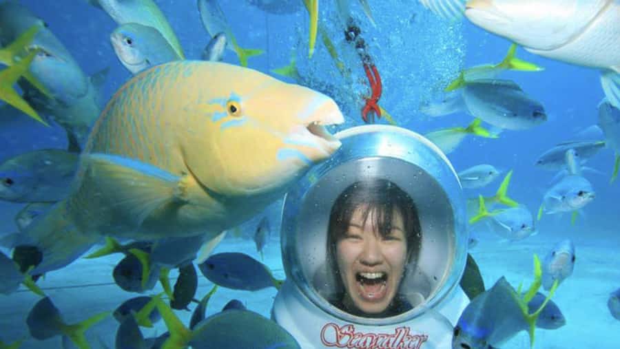 Bali: Underwater Sea Walk, Uluwatu Temple, and Kecak Dance - Tanjung Benoa: Your First Look Beneath the Water