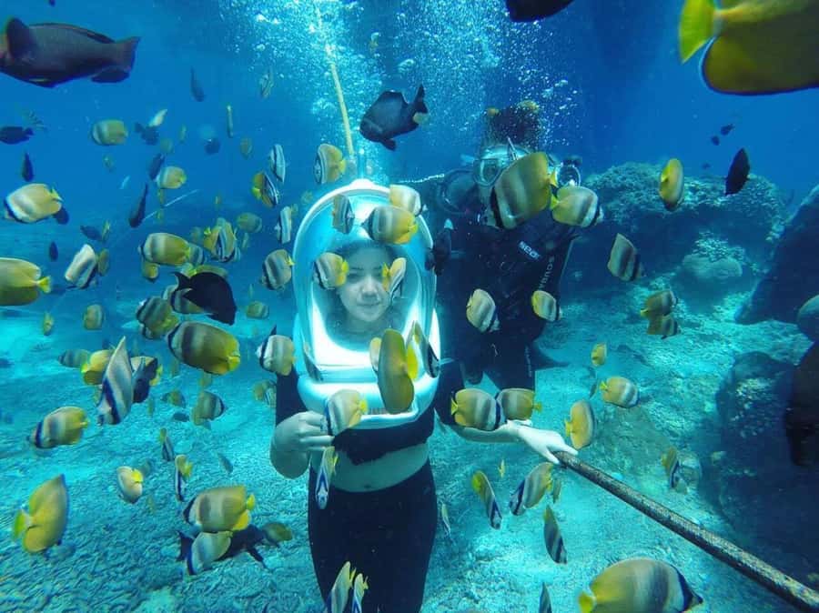 Bali: Underwater Sea Walk, Uluwatu Temple, and Kecak Dance - Who Should Book This Experience?