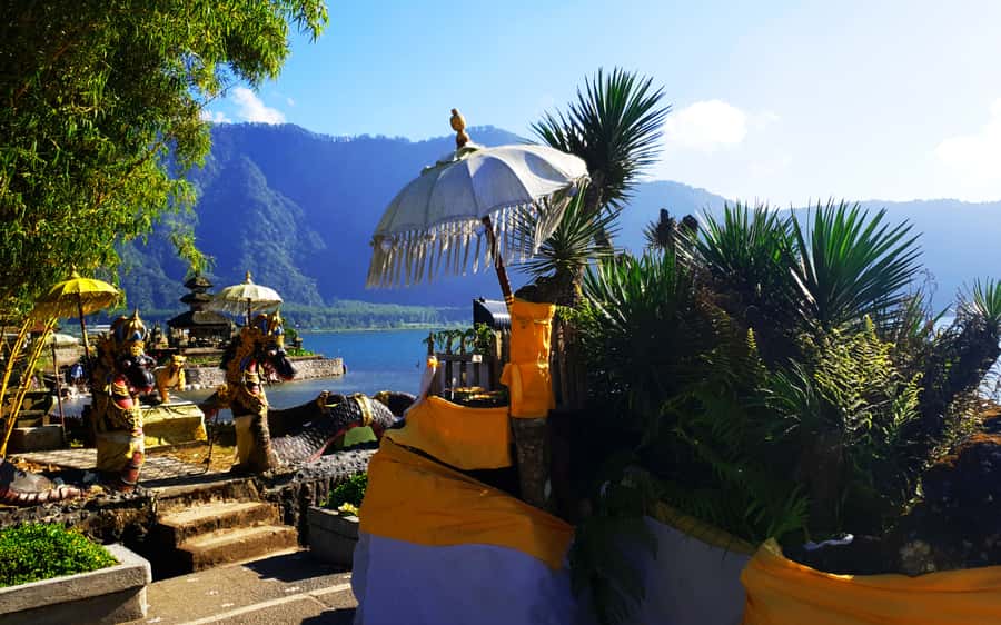 Bali: Waterfalls, Temples, and Rice Terraces Scenic Tour - The optional jungle swing: fun, but not part of the deal