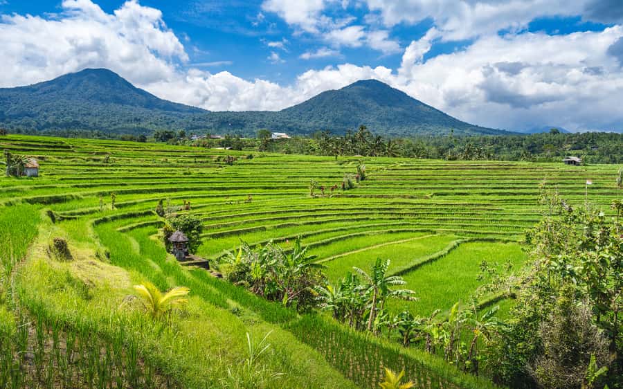 Bali: Waterfalls, Temples, and Rice Terraces Scenic Tour - Timing, pickup areas, and what to pack