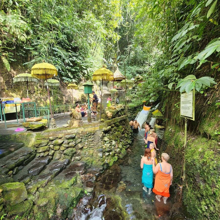 Balinese Purification at holy water temple with Local - What makes this Sebatu experience worth considering