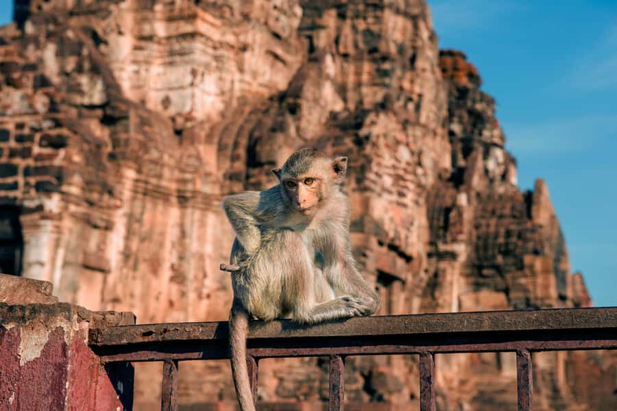 Bangkok: Ayutthaya & Lopburi Monkey Temple Private Day Trip - Wat Phra Si Sanphet and the old palace grounds