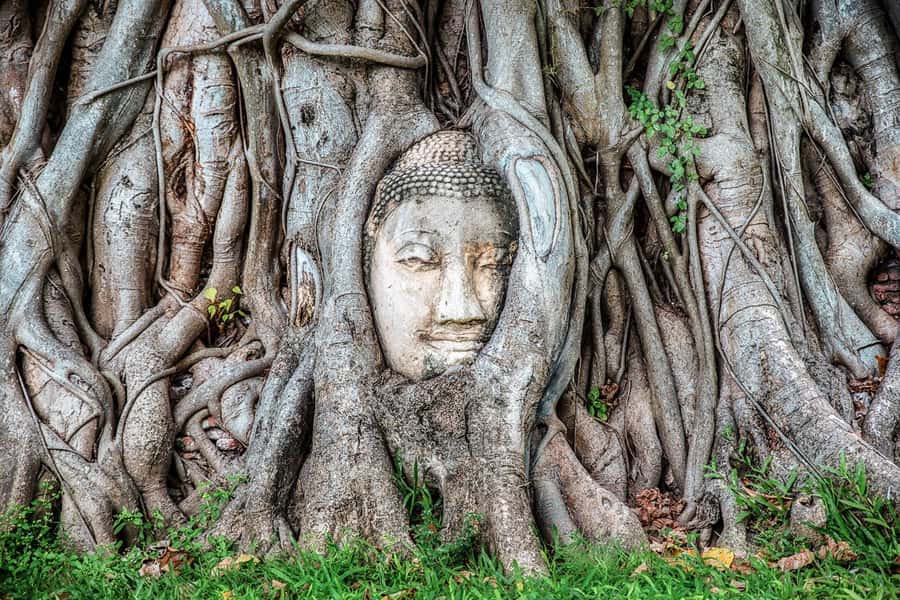 Bangkok: Ayutthaya & Lopburi Monkey Temple Private Day Trip - Lunch in Ayutthaya before the Lopburi drive