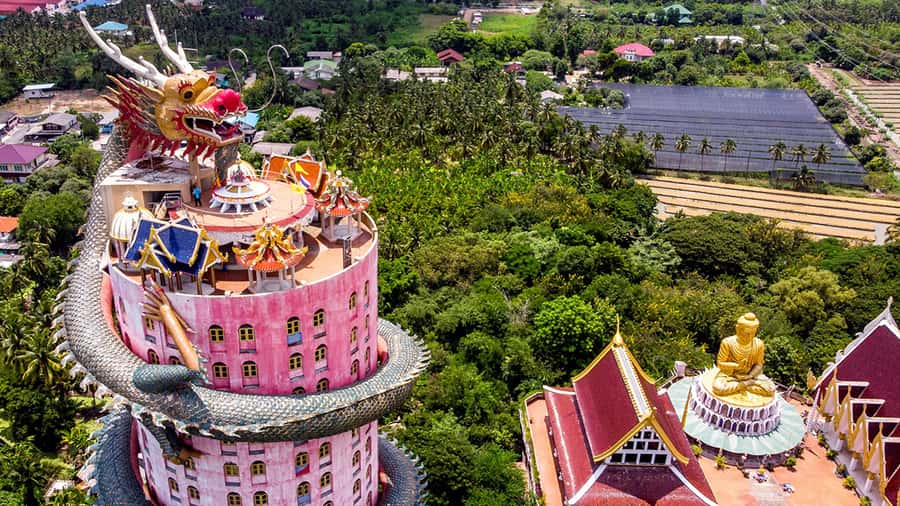 Bangkok: Dragon Temple, Roots Temple and Amphawa in spanish - Wat Bang Kung and the Buddha in the tree