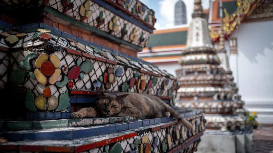 Bangkok: Grand Palace, Wat Pho and Wat Arun - Comfort, clothing and pace