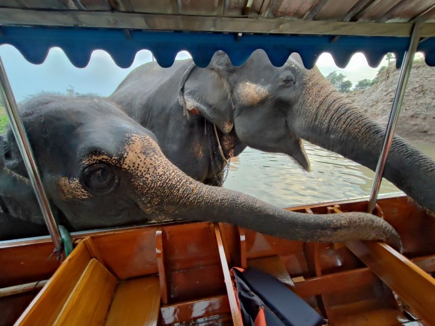 Bangkok: Private Trip to Ayutthaya Temples & Night Market - Who will enjoy this Ayutthaya trip most