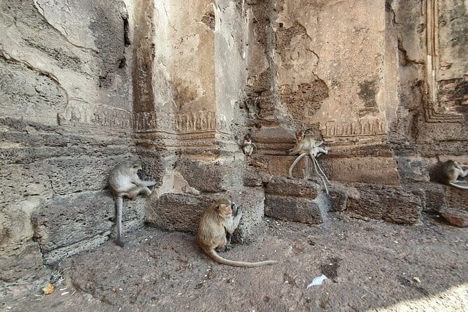 Bangkok to Ayutthaya Lopburi Monkey Temple, Largest Buddha Tour - Wat Mahathat and the famous Buddha in the tree