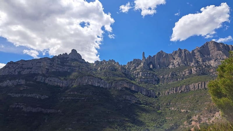 Barcelona: Montserrat Monastery and Natural Park Guided Tour - The monastery and Basilica: sacred, historic, and busy