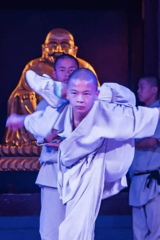 Beijing:Bullet Train Day Tour to Shaolin Temple&Martial Arts - Shaolin Temple and the story behind the site