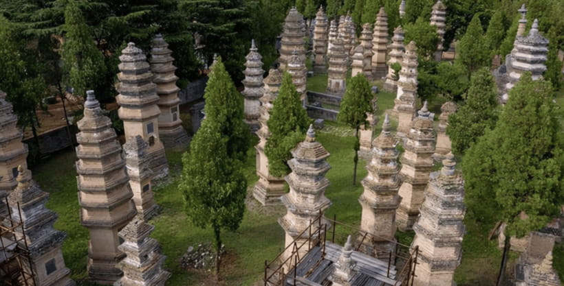 Beijing:Bullet Train Day Tour to Shaolin Temple&Martial Arts - The Shaolin Kung Fu performance