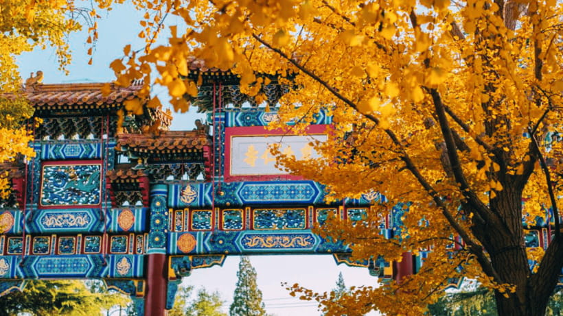 Beijing: Lama Temple (Yonghe Temple) Admission Ticket - Seeing a living place of worship