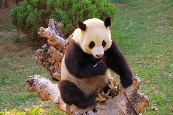 Beijing Private Tour to Temple of Heaven, Panda House and Summer Palace - Walking through the Summer Palace