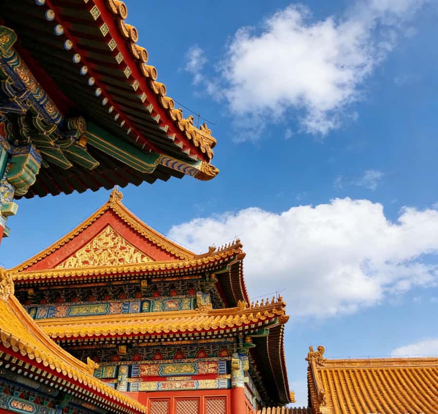 Beijing: Temple of Heaven and Forbidden City Private Tour - Temple of Heaven: imperial prayer and local morning life
