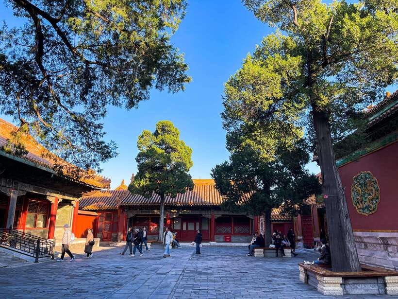 Beijing:Temple of Heaven+Forbidden City Private City Tour - What this Beijing day covers