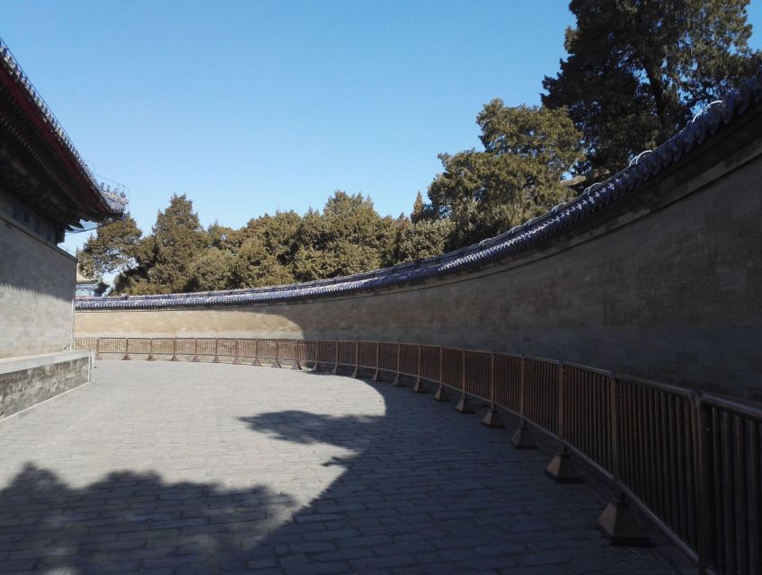 Beijing: Temple of Heaven, Panda House & Summer Palace Tour - Guides, drivers, and the private-group advantage