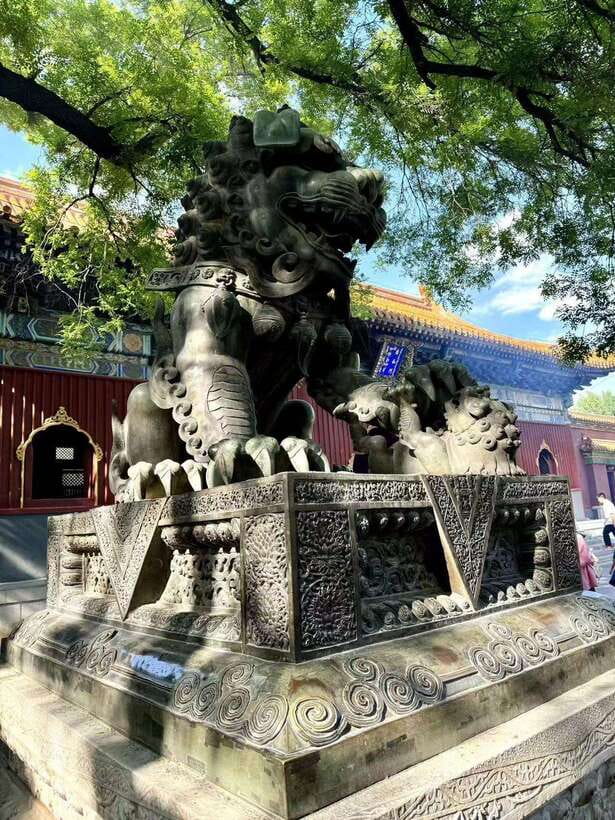Beijing: Yonghe Lama Temple Entry Ticket - Who Should Book This Experience