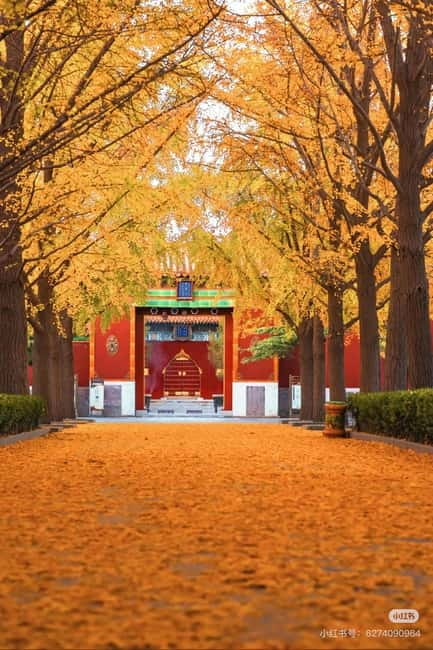 Beijing: Yonghe Lama Temple Tickets with guide (optional) - Key points to know before you go
