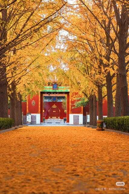 Beijing: Yonghe Lama Temple Tickets with guide (optional) - What the architecture tells you