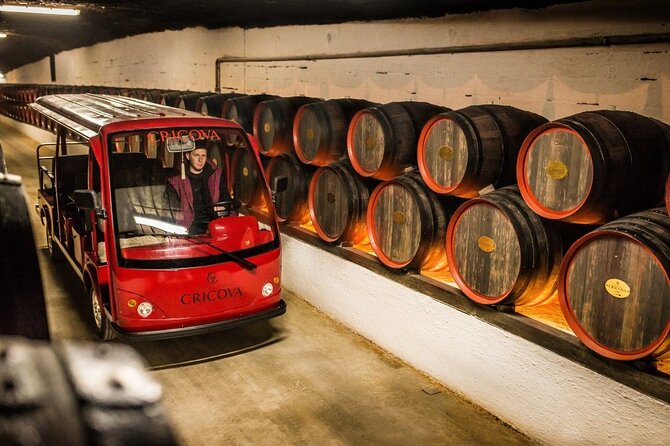 Best of Moldova: Cricova Winery & Old Orhei Tour including Curchi Monastery - Who should book this day trip?