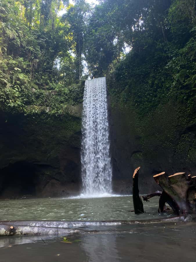 Best Watefalls, Monkey Forest, Temple and Rice terrace - Kanto Lampo Waterfall is the photo stop